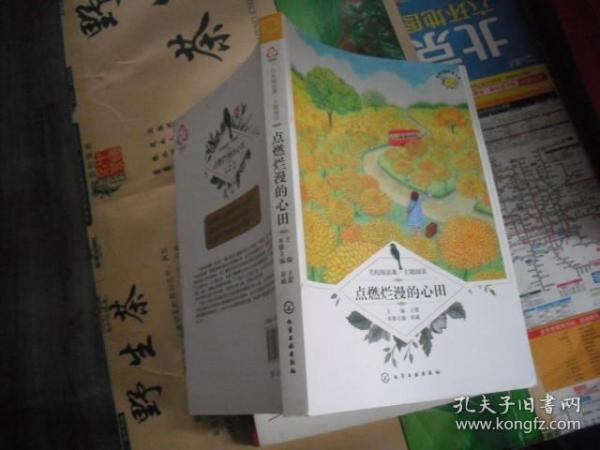 名校阅读课：主题阅读--点燃烂漫的心田