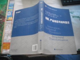 产业组织理论与政策前沿译丛：创新、产业动态与结构变迁
