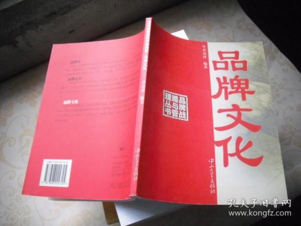 品牌文化——品牌战略与管理丛书