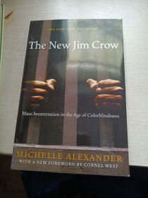 The New Jim Crow：Mass Incarceration in the Age of Colorblindness