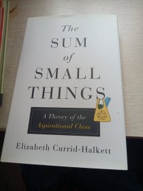 The Sum of Small Things：A Theory of the Aspirational Class