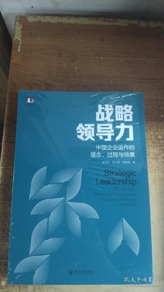 战略领导力：中国企业运作的理念、过程与效果
