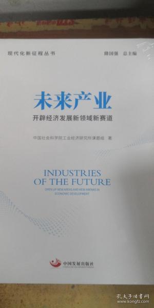 未来产业:开辟经济发展新领域新赛道（现代化新征程丛书）