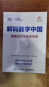 解码数字中国 战略路径与未来发展