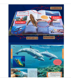 儿童海洋百科全书W