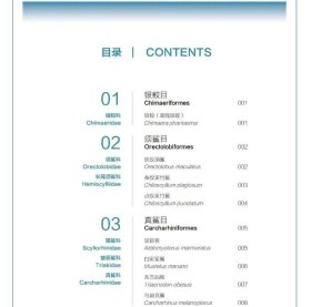 正版 中国热带亚热带海洋鱼类剥制标本图鉴 9787567040250中国海洋大学出版社出版