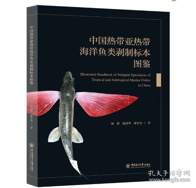 正版 中国热带亚热带海洋鱼类剥制标本图鉴 9787567040250中国海洋大学出版社出版