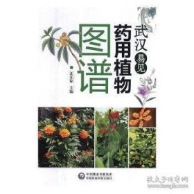 特价现货！武汉易见药用植物图谱9787521405545中国医药科技出版社