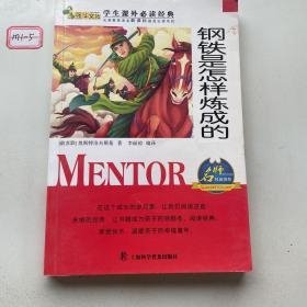 特价现货！钢铁是怎样炼成的（共5册）联]奥斯特洛夫斯基9787542759931上海科学普及出版社