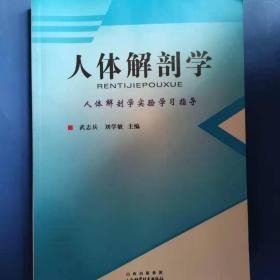 特价现货！人体解剖学实验学习指导李富德9787537727716山西科学技术出版社