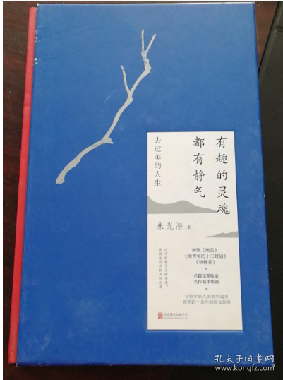 有趣的灵魂都有静气（朱光潜写给年轻人的美学通史，畅销四十余年的国文经典）