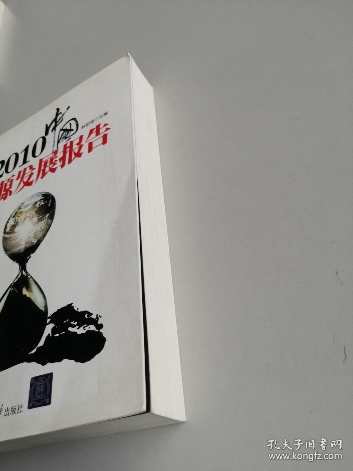 2010中国能源发展报告