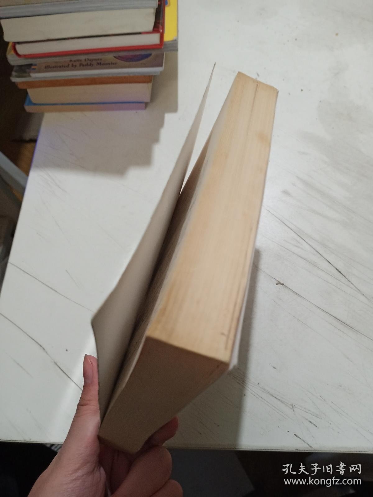 LittleAmerica【有字迹】