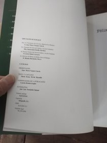 Felix Fernandez Torrado 外文画册
