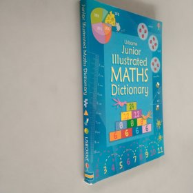 junior ustrated maths dictionary初中数学词典