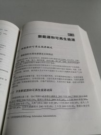 2010中国能源发展报告