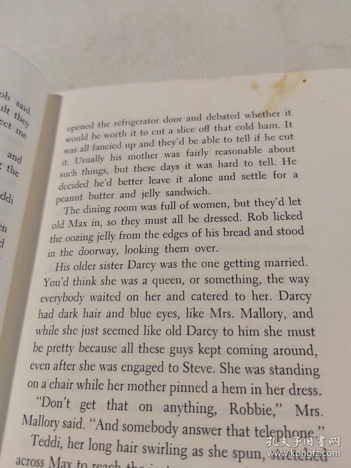 THE  VIEW  FROM  THE  CHERRY  TREE从樱花树上眺望的景色