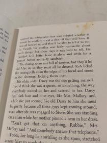 THE VIEW FROM THE CHERRY TREE从樱花树上眺望的景色