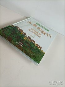 大象的旅行