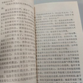 迷舟【未翻阅】