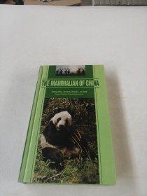 the mammalian of china