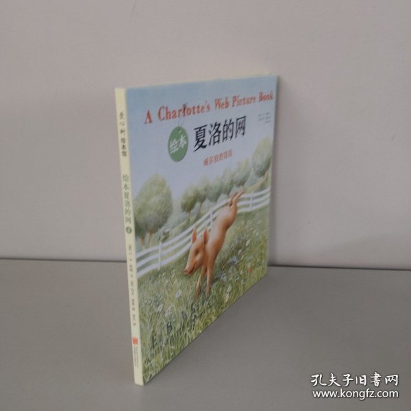 夏洛的网