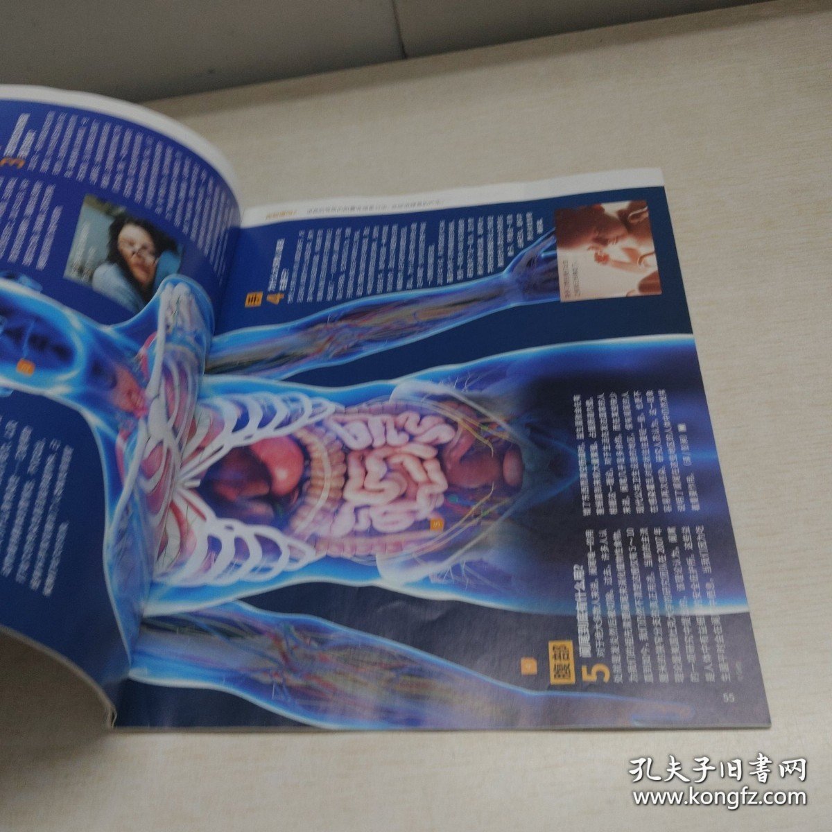 万物 2024年2月 实拍图详见图片