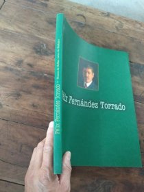 Felix Fernandez Torrado 外文画册