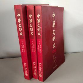 中华文明史【第2.3.4卷】