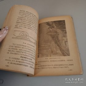 给少年物理学家