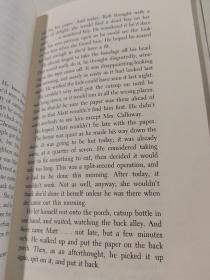 THE VIEW FROM THE CHERRY TREE从樱花树上眺望的景色