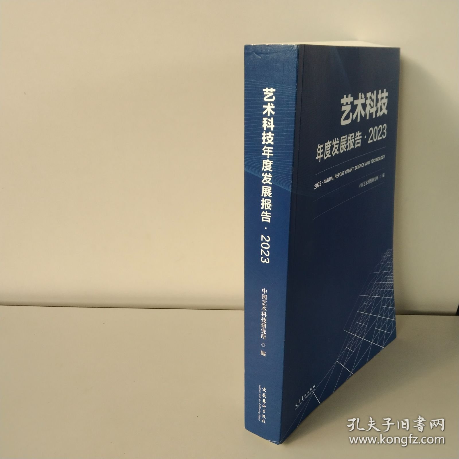 艺术科技年度发展报告·2023 中国艺术科技研究所 编