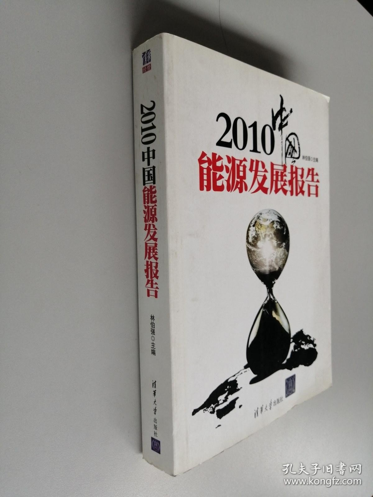 2010中国能源发展报告