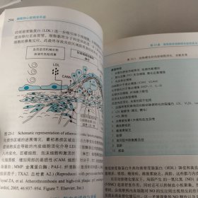 赫斯特心脏病学手册(第12版)【详见图片】