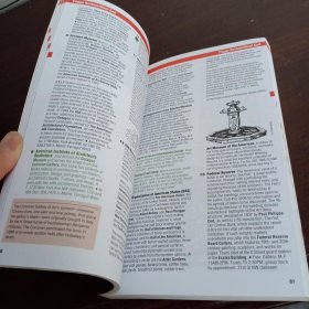 WASHINGTON DC ACCESS 英文原版