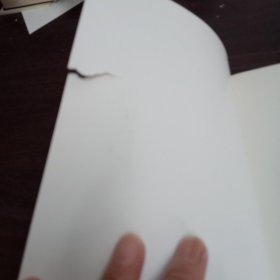 TheCivilServant'sNotebook