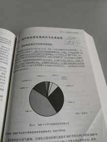 2010中国能源发展报告