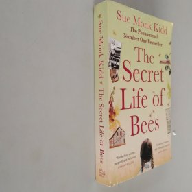 the secret life of bees蜜蜂的秘密生活