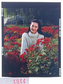 天 4844 八九十年代 美女 挂历 出版用 模特 反转片---知性 花丛