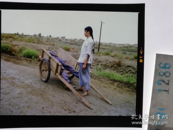 1286  电影明星 美女 剧照反转片  《砂砾》  美女来着晴朗