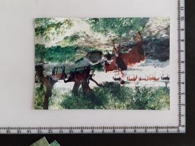 38-10  艺术摄影老照片带底片---林间牧马