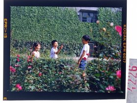 天-4226 北京电影制片厂剧照 海报用图反转片 老表演艺术家明星美女  《红墙外》  石冼导演 白志迪、何晴、夏菁、张京主演 八九年上映----玩伴