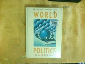 World Politics - the Menu for Choice（Fourth Edition） 世界政治 英文原版