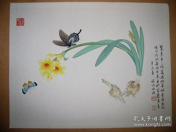 （保真）已故著名川籍国画大师、张大千学生、大风堂门人谢临风老师2001年工笔国画精品——《工笔彩蝶》斗方一件，附赠老师绘制此画时照片一张