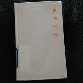 黑铁时代：王小波全集：8