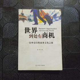 世界到处有商机:一位外交官的商务文化之旅