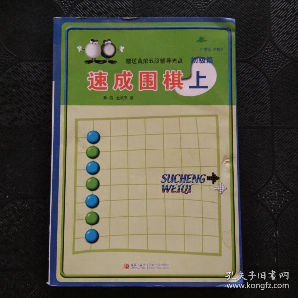 初级篇-速成围棋(上)