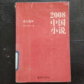 2008中国小说：北大选本