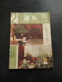 植物杂志 1980年2