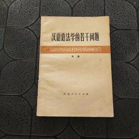 汉语语法学的若干问题